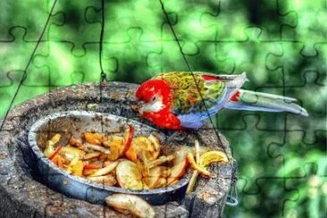 Imagem jigsaw puzzle
