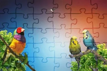 Imagem jigsaw puzzle