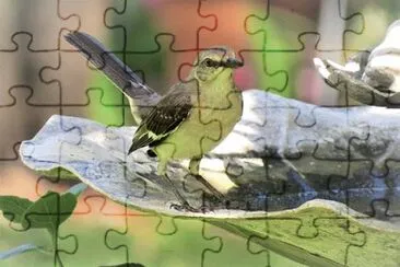 פאזל של Imagem