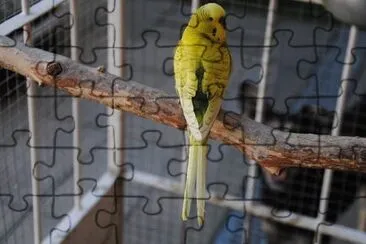 Imagem jigsaw puzzle