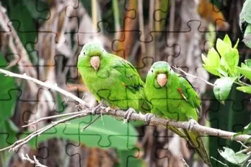 Imagem jigsaw puzzle