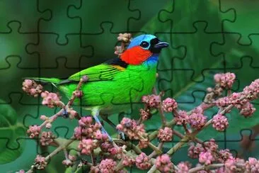 Imagem jigsaw puzzle