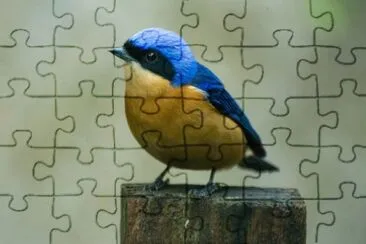 פאזל של Imagem