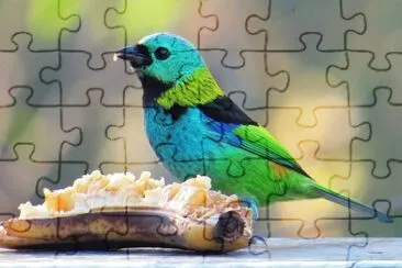 Imagem jigsaw puzzle