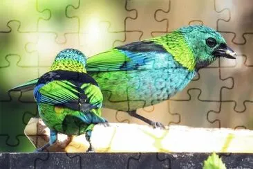 Imagem jigsaw puzzle