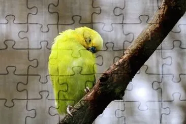 Imagem jigsaw puzzle
