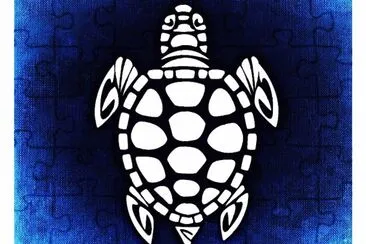 tortue jigsaw puzzle