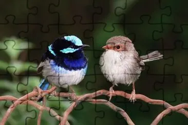 Imagem jigsaw puzzle
