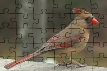 Imagem jigsaw puzzle