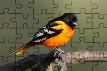 Imagem jigsaw puzzle