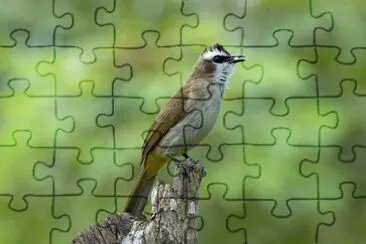 פאזל של Imagem