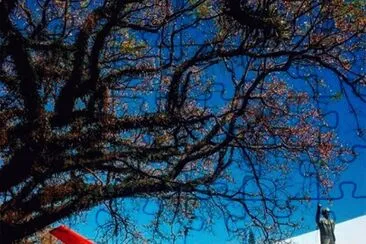 imagem jigsaw puzzle