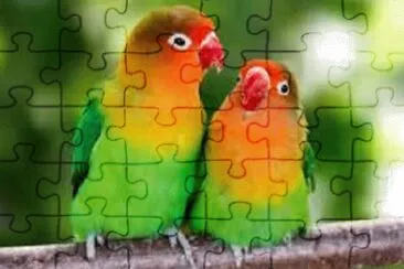 Imagem jigsaw puzzle