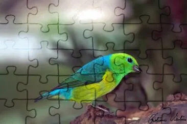 Imagem jigsaw puzzle