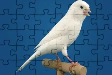 Imagem jigsaw puzzle