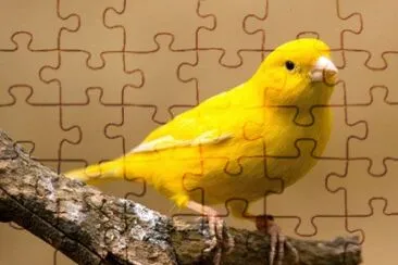 פאזל של Imagem