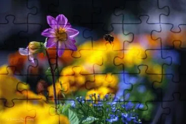 פאזל של Summer Flower colours
