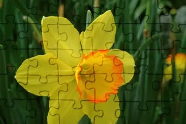 Narcisse jigsaw puzzle