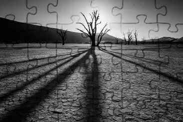 Black and White jigsaw puzzle