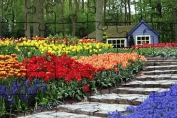 Imagem jigsaw puzzle