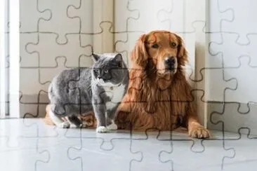 Imagem jigsaw puzzle