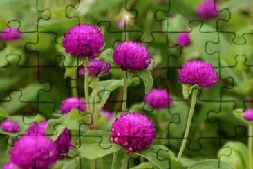 OK jigsaw puzzle