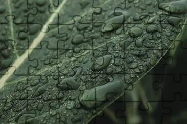 Imagem jigsaw puzzle