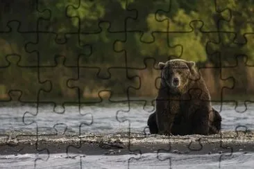 Imagem jigsaw puzzle