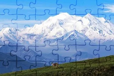 Imagem jigsaw puzzle