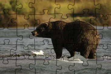 Imagem jigsaw puzzle