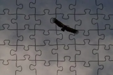 Imagem jigsaw puzzle