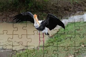 Imagem jigsaw puzzle
