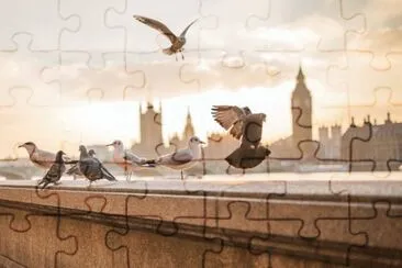 Imagem jigsaw puzzle