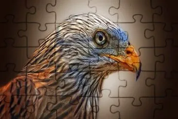 Imagem jigsaw puzzle
