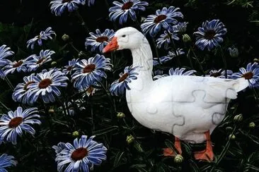 Imagem jigsaw puzzle