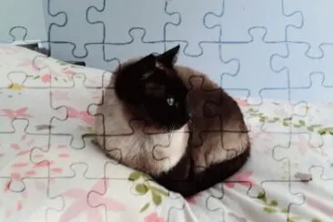 Mia