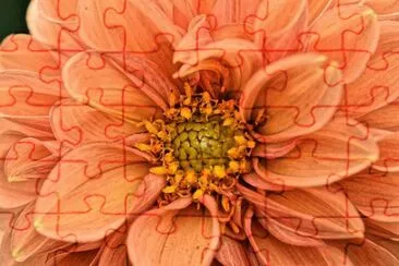 OK jigsaw puzzle