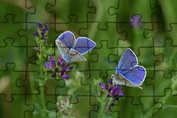 OK jigsaw puzzle