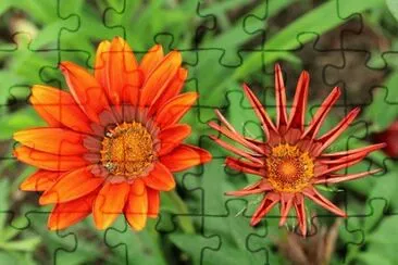 OK jigsaw puzzle