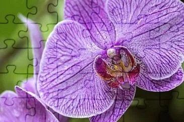 OK jigsaw puzzle