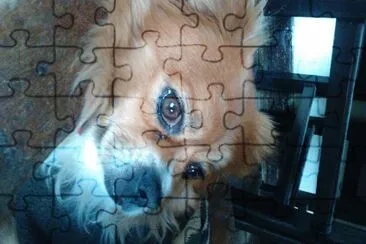 boby jigsaw puzzle