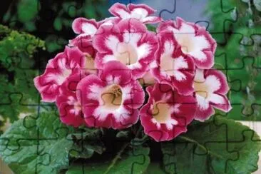 hermosas flores jigsaw puzzle