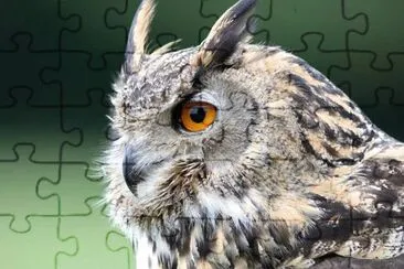 Imagem jigsaw puzzle