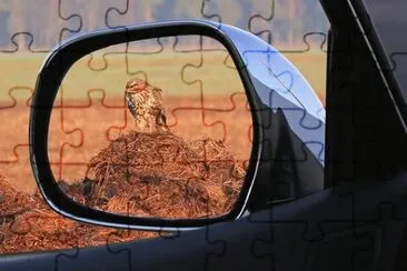 פאזל של Imagem