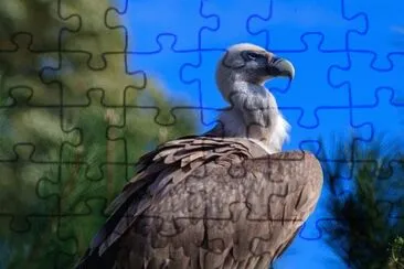 Imagem jigsaw puzzle