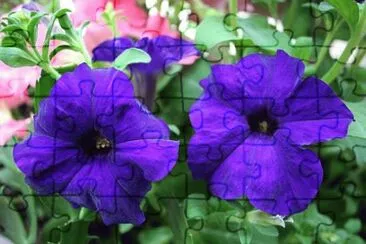 OK jigsaw puzzle