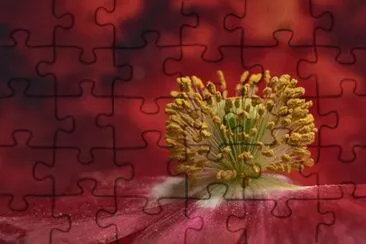 Imagem jigsaw puzzle