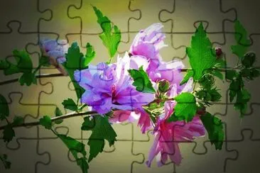 Imagem jigsaw puzzle
