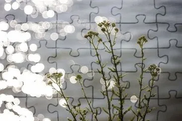 Imagem jigsaw puzzle
