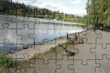 lago